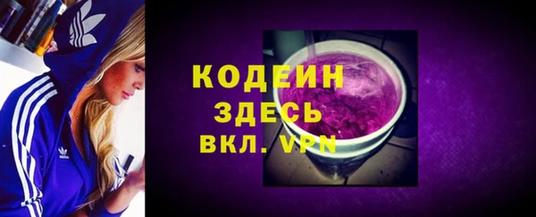 индика Билибино