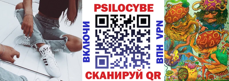 дарнет шоп  mega как войти  Галлюциногенные грибы Psilocybine cubensis  Брянск 