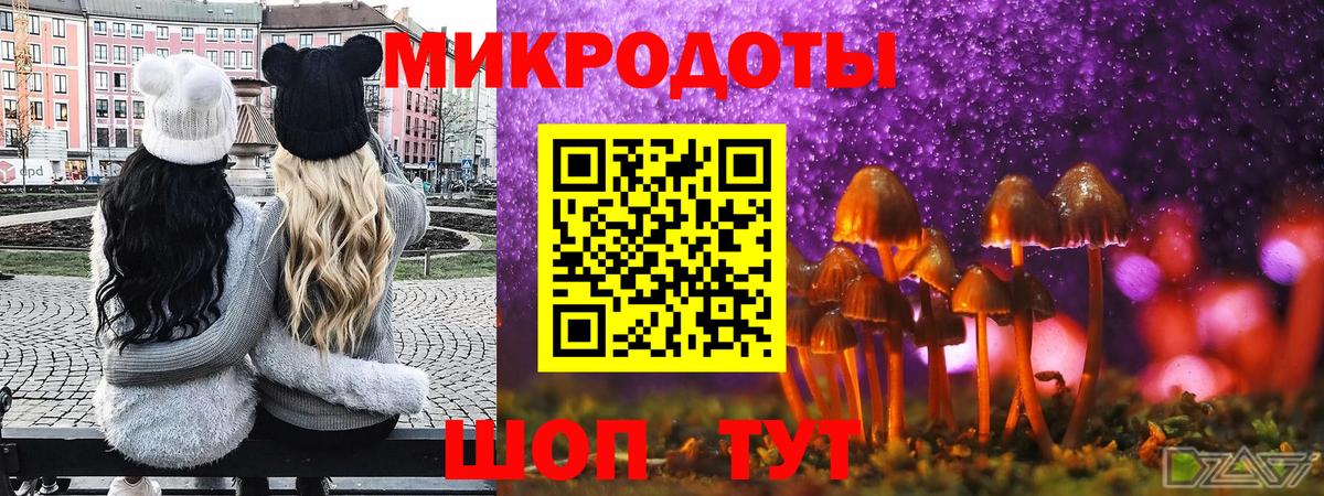 купить закладку  Галлюциногенные грибы Cubensis  Брянск  Псилоцибиновые грибы GOLDEN TEACHER 