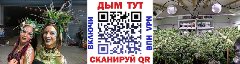 mega зеркало  Брянск  Каннабис тримм  продажа наркотиков 